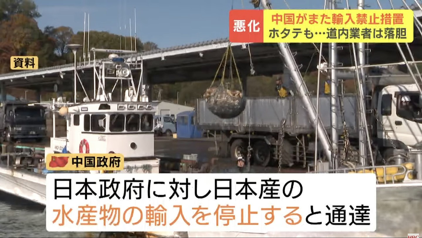 北海道扇贝加工商曾年销200吨予中国，对华恢复进口禁令难掩失望（组图） - 3