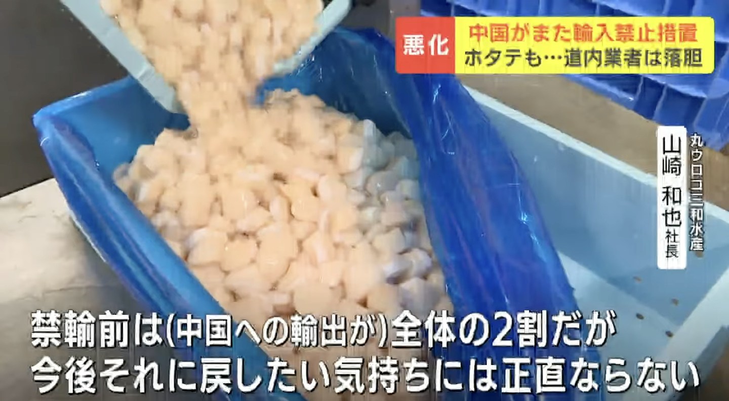 北海道扇贝加工商曾年销200吨予中国，对华恢复进口禁令难掩失望（组图） - 6