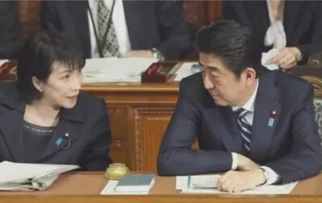 野田,岸田为何与高市切割?日本这次赌的是什么?(组图) - 2
