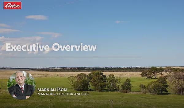 CEO抛售引发机构投资者撤出 DroneShield(ASX:DRO)被唱空为“死钱”股 短期难有起色? - 8