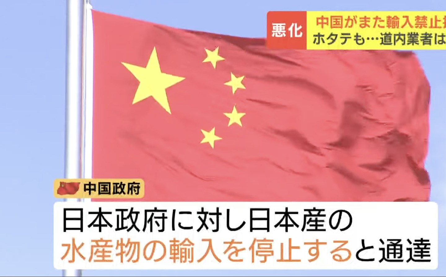 北海道扇贝加工商曾年销200吨予中国，对华恢复进口禁令难掩失望（组图） - 2