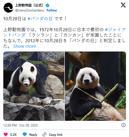 中日闹僵,北京或撤回“亲善大使”!传旅日大熊猫将回到中国(组图) - 2