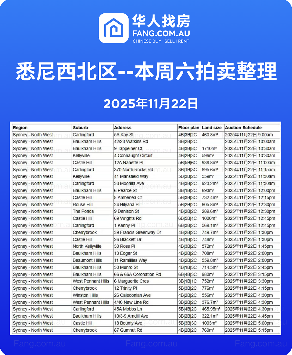 直击悉尼周末拍卖现场，拍卖结果实时更新！（组图） - 10