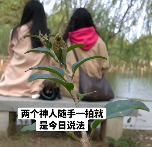 【爆笑】Prada的胸针售价8500就这?!网友夺笋:奢侈品不穷人(组图) - 33