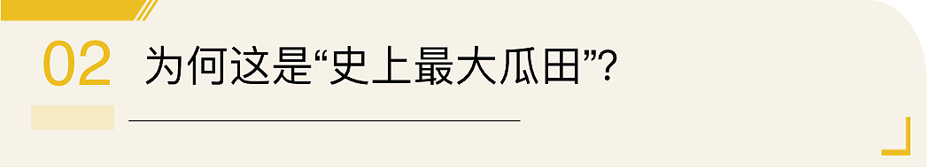 特朗普签了！全球人民都在等美国历史上最大的瓜爆出来（组图） - 7