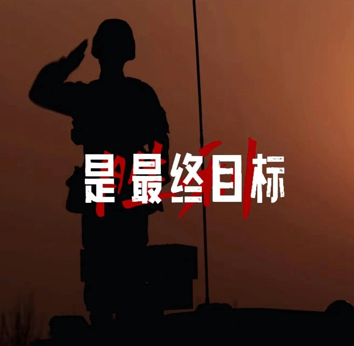 解放军南部战区、东部战区、中部战区、西部战区相继发声(组图) - 6