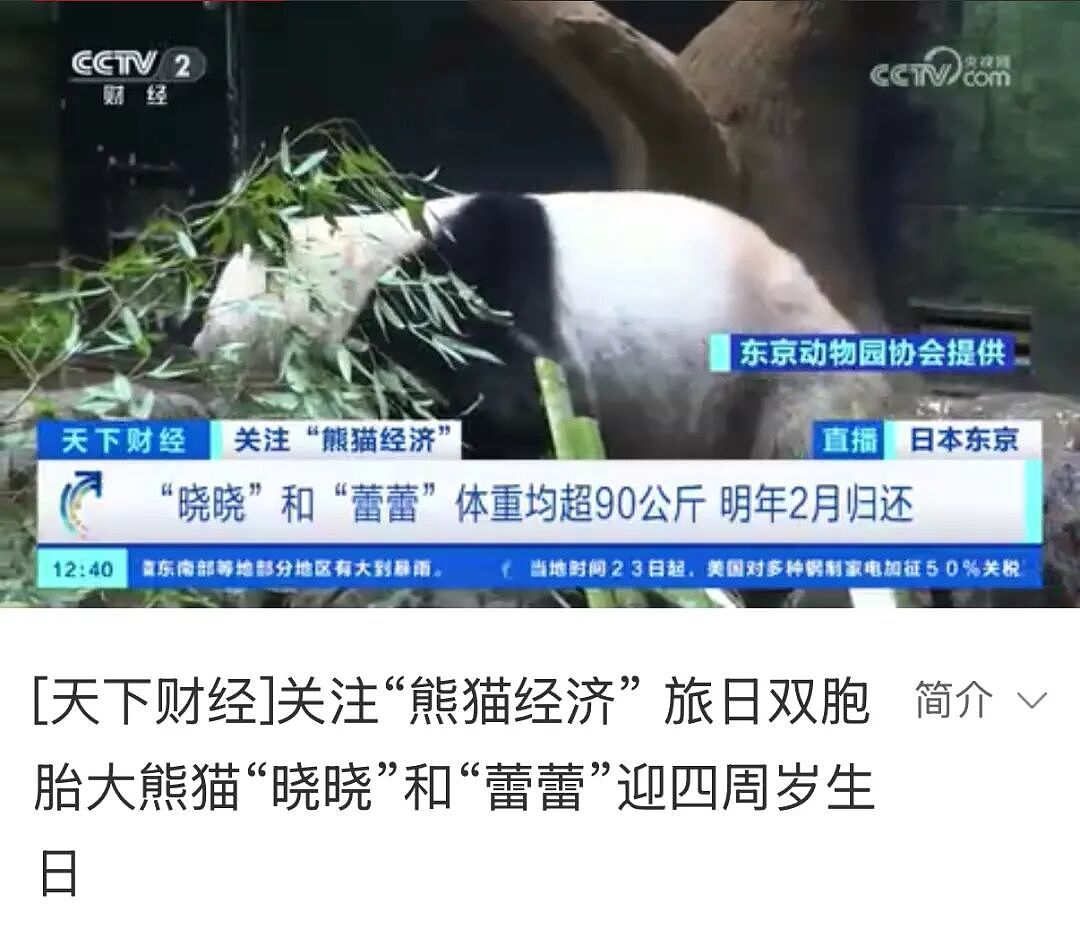 中日闹僵,北京或撤回“亲善大使”!传旅日大熊猫将回到中国(组图) - 5