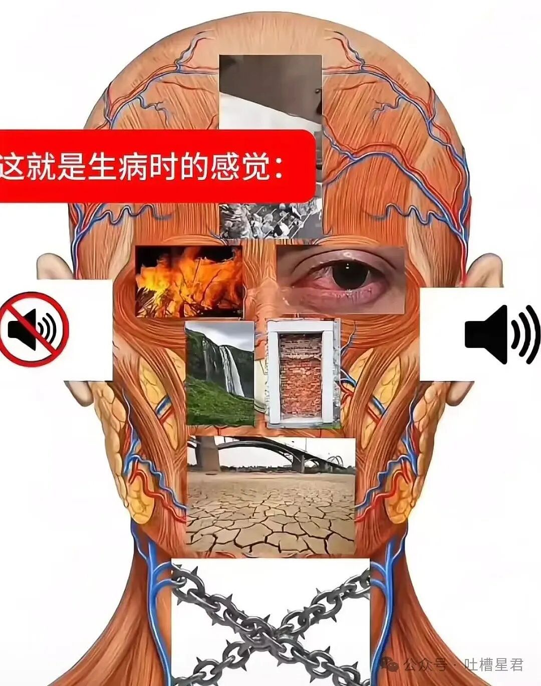【爆笑】牛马上班为了多睡几秒到底有多拼？啊啊啊把电动车夹被窝里闹钟一响就能骑（组图） - 27