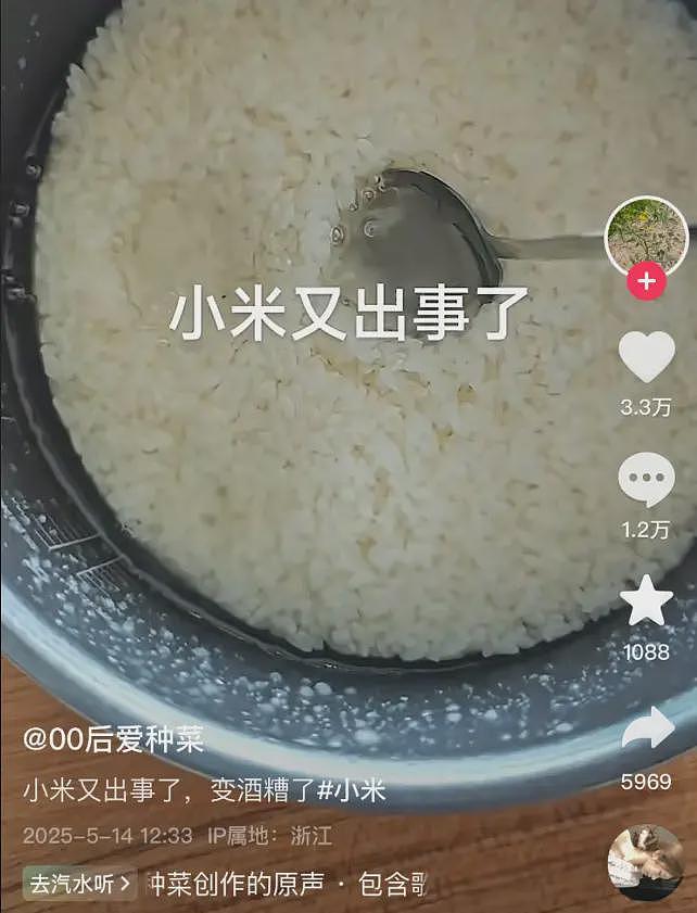 开头一句军儿数月涨粉几十万，阴阳小米雷军成了起号新赛道……（组图） - 12