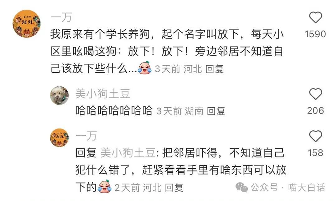 【爆笑】​“看演唱会千万不要找黄牛！”哈哈哈哈哈这走向属实是没想到（组图） - 16