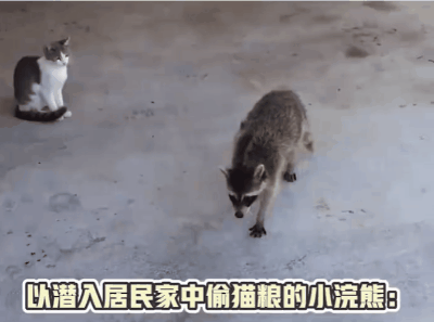 【爆笑】​“看演唱会千万不要找黄牛！”哈哈哈哈哈这走向属实是没想到（组图） - 56
