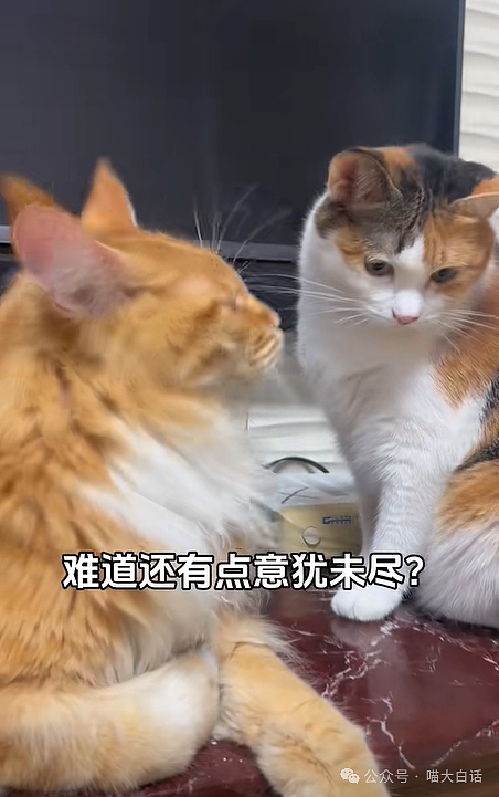 【爆笑】“现在的公司招人要求有多抽象?”哈哈哈哈哈wflbb(组图) - 48