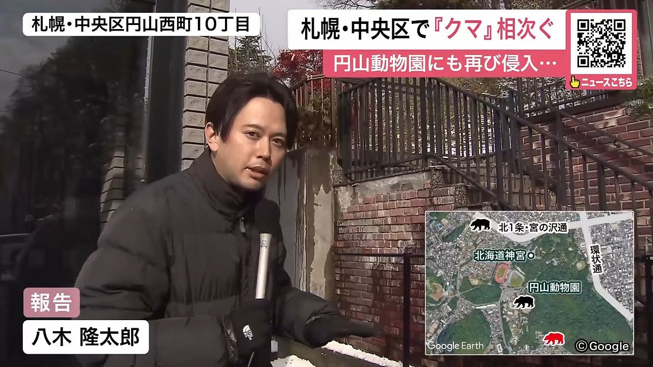 北海道发生56宗列车撞熊事件创新高!日本铁道员带喷雾自保(组图) - 3