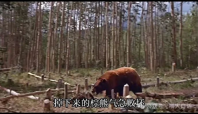 【爆笑】“现在的公司招人要求有多抽象?”哈哈哈哈哈wflbb(组图) - 83