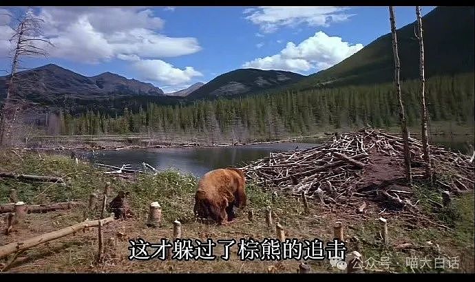 【爆笑】“现在的公司招人要求有多抽象?”哈哈哈哈哈wflbb(组图) - 86
