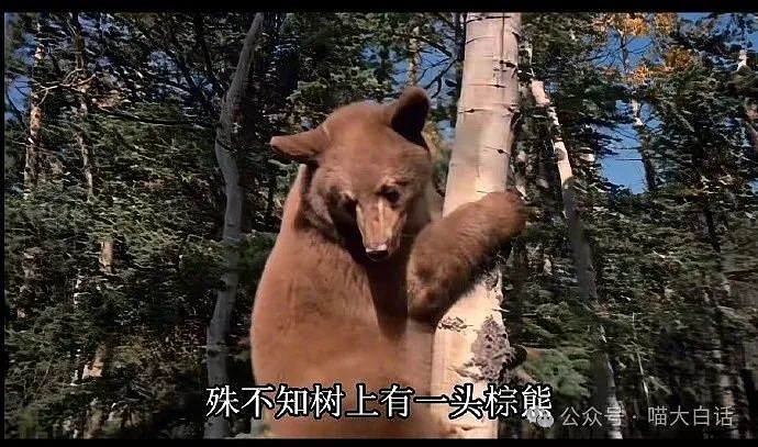 【爆笑】“现在的公司招人要求有多抽象?”哈哈哈哈哈wflbb(组图) - 81