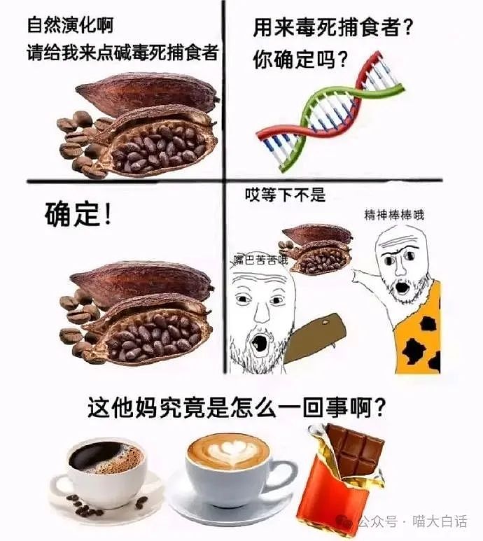【爆笑】“现在的公司招人要求有多抽象?”哈哈哈哈哈wflbb(组图) - 54