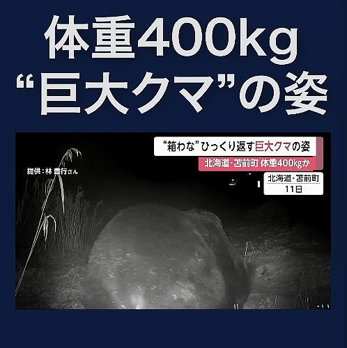 北海道发生56宗列车撞熊事件创新高!日本铁道员带喷雾自保(组图) - 7