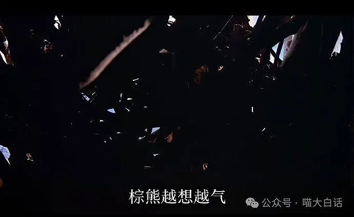 【爆笑】“现在的公司招人要求有多抽象?”哈哈哈哈哈wflbb(组图) - 87