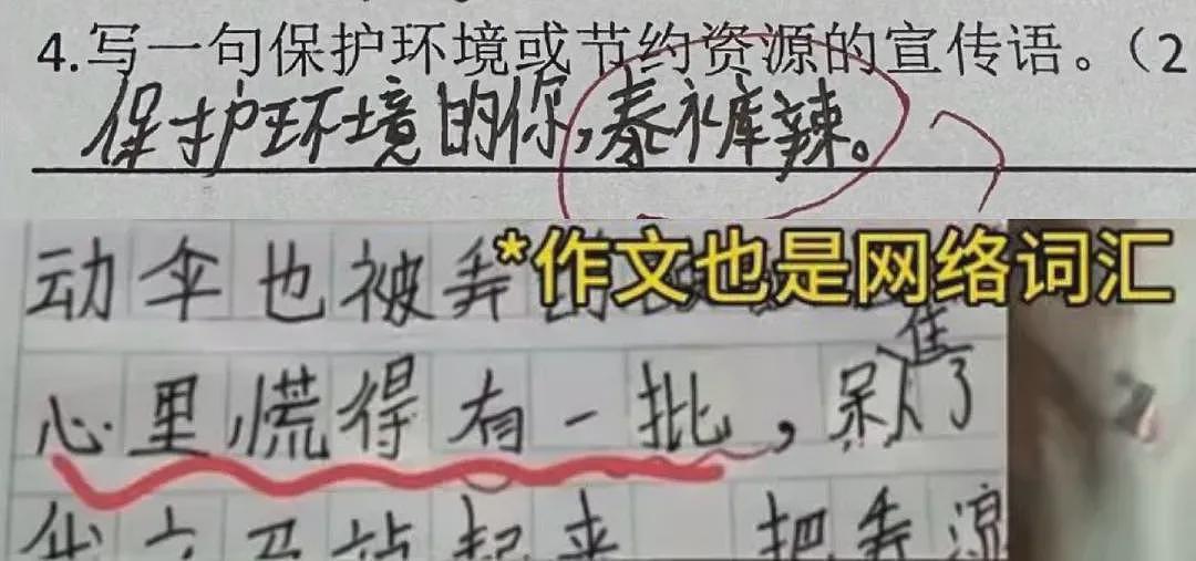 黄腔烂梗，正在毁掉中小学生（组图） - 10