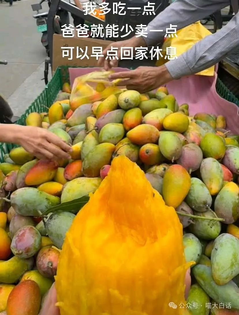 【爆笑】​“看演唱会千万不要找黄牛！”哈哈哈哈哈这走向属实是没想到（组图） - 62