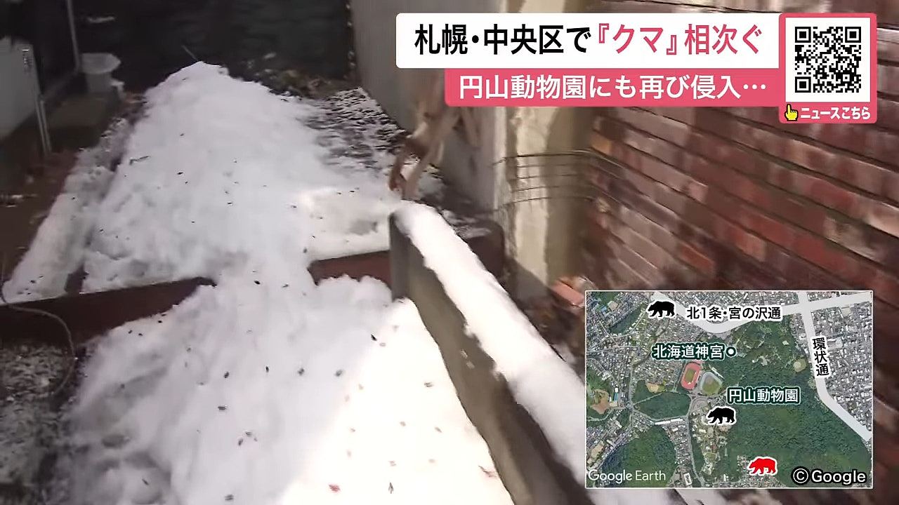 北海道发生56宗列车撞熊事件创新高!日本铁道员带喷雾自保(组图) - 5