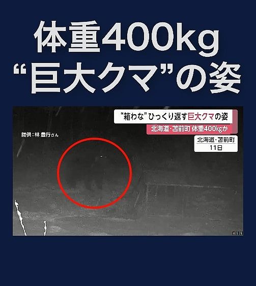 北海道发生56宗列车撞熊事件创新高!日本铁道员带喷雾自保(组图) - 9