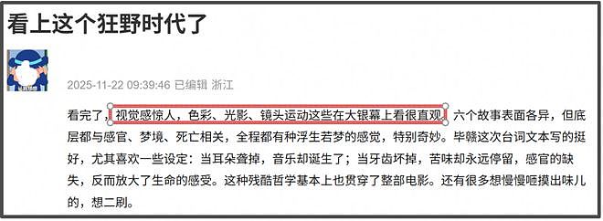 《狂野时代》首波口碑出炉！观众直呼看不懂，彻底沦为粉丝电影（组图） - 4