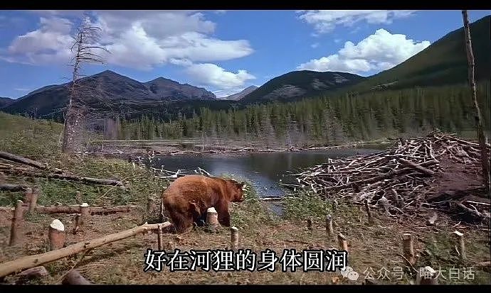 【爆笑】“现在的公司招人要求有多抽象?”哈哈哈哈哈wflbb(组图) - 85