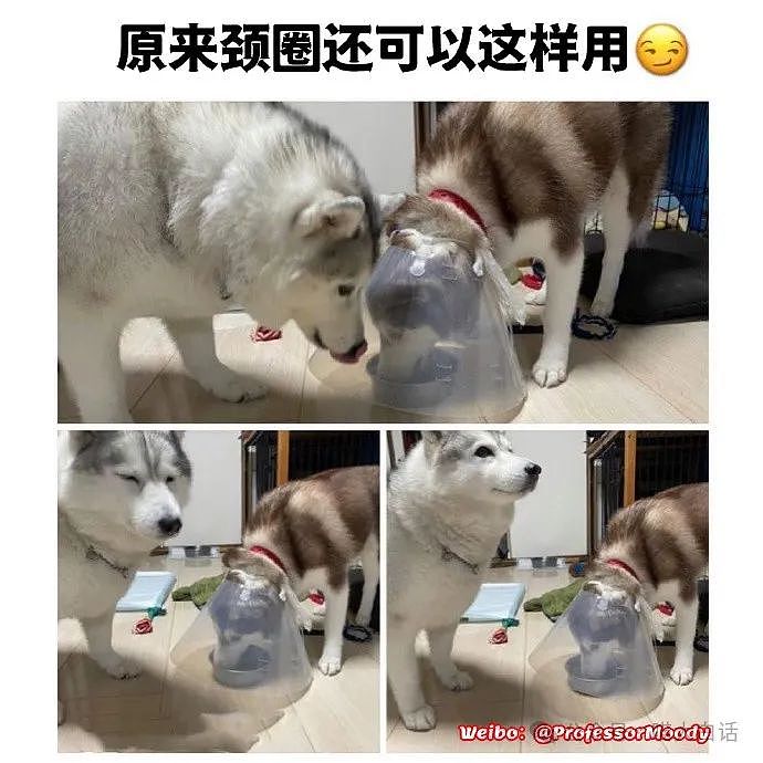 【爆笑】“现在的公司招人要求有多抽象?”哈哈哈哈哈wflbb(组图) - 62