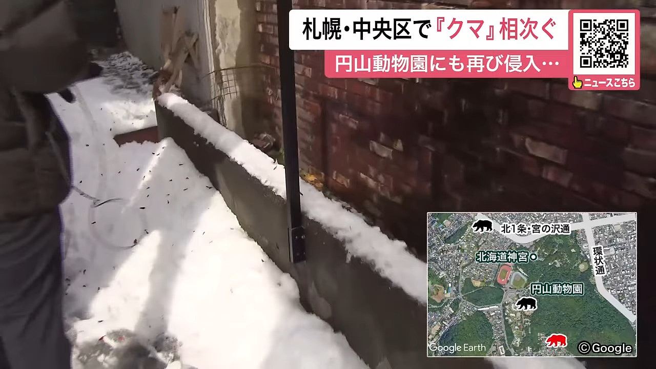 北海道发生56宗列车撞熊事件创新高!日本铁道员带喷雾自保(组图) - 4