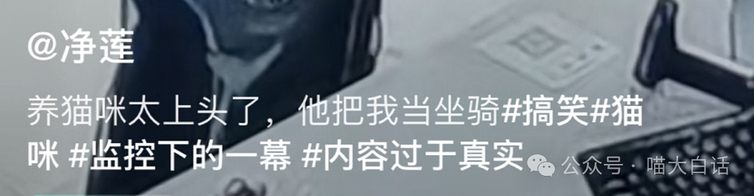 【爆笑】​“看演唱会千万不要找黄牛！”哈哈哈哈哈这走向属实是没想到（组图） - 20