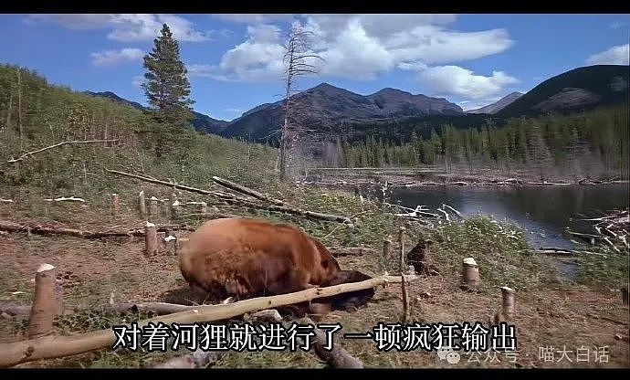 【爆笑】“现在的公司招人要求有多抽象?”哈哈哈哈哈wflbb(组图) - 84