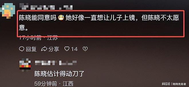 陈妍希离婚后，8岁儿子受影响，陈晓处境尴尬（组图） - 13