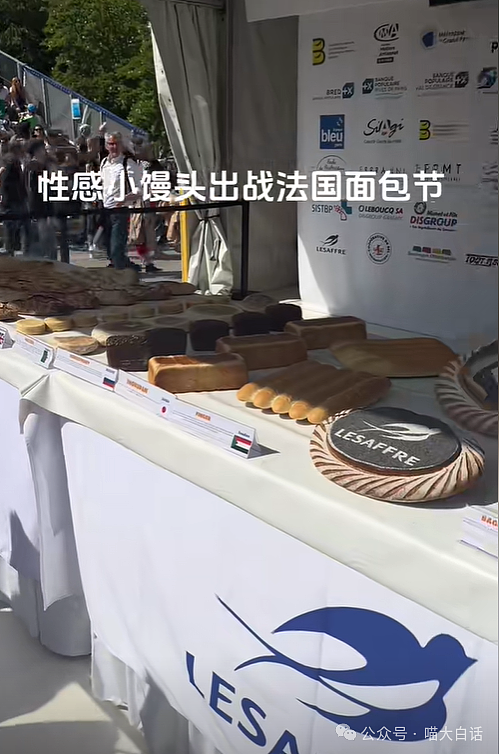 【爆笑】“现在的公司招人要求有多抽象?”哈哈哈哈哈wflbb(组图) - 32