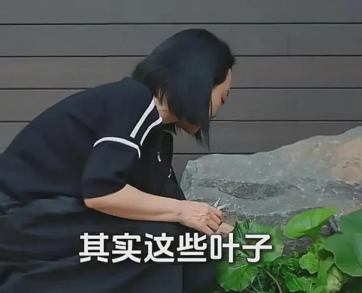 风水轮流转!欠债22亿,和杨颖调情,曾经的娱圈大佬活成了“笑话”(组图) - 36