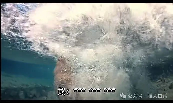 【爆笑】“现在的公司招人要求有多抽象?”哈哈哈哈哈wflbb(组图) - 82
