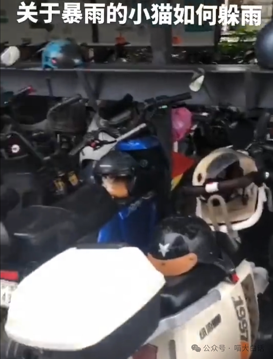 【爆笑】​“看演唱会千万不要找黄牛！”哈哈哈哈哈这走向属实是没想到（组图） - 33