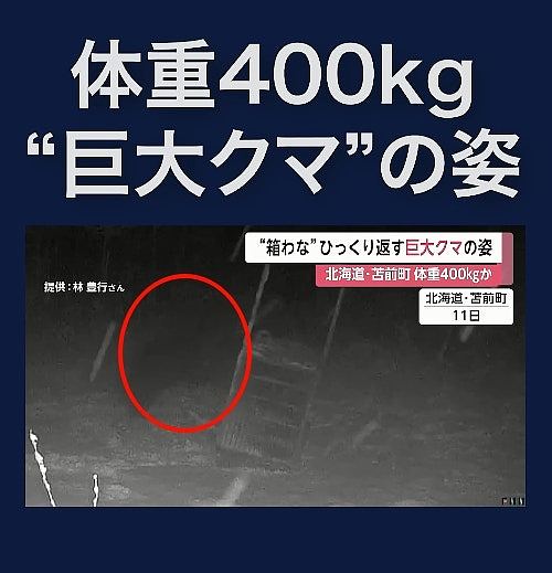 北海道发生56宗列车撞熊事件创新高!日本铁道员带喷雾自保(组图) - 8