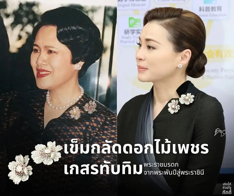 泰国王后在北京美艳杀疯，踩10厘米细高跟逛故宫，贵妃复宠被她秒了（组图） - 22