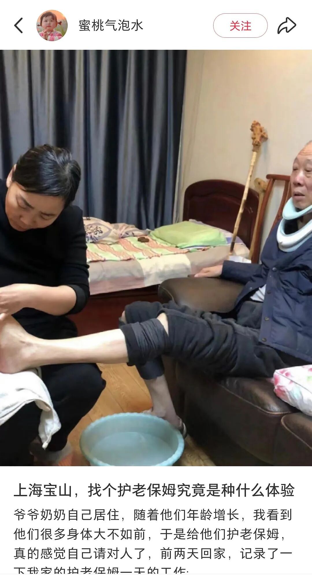 上海夫妇“润澳”22年！丁克养老住豪宅养鸡遛狗，网民：退休天花板（组图） - 11