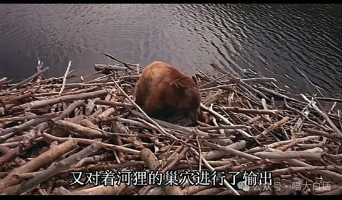 【爆笑】“现在的公司招人要求有多抽象?”哈哈哈哈哈wflbb(组图) - 88