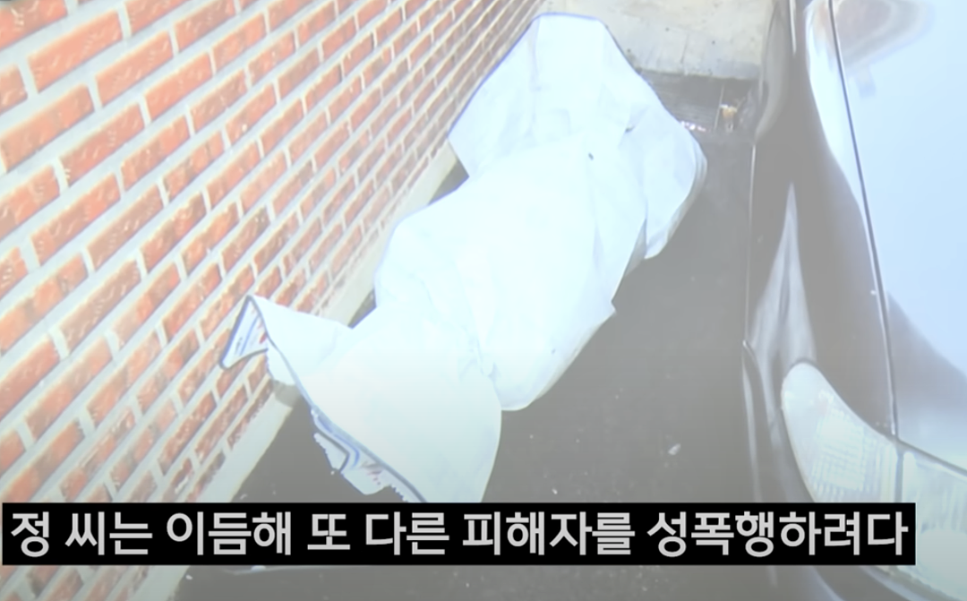 震惊韩国“新亭洞连续性侵杀人弃尸悬案” 20年后终于确认真凶！可惜…（组图） - 7