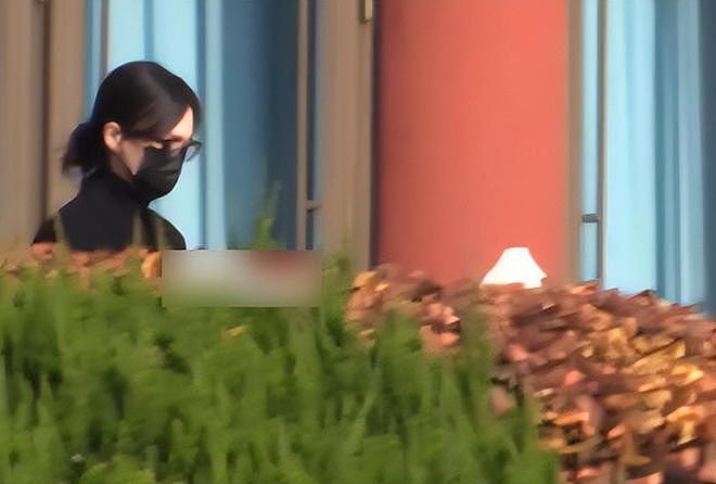 唐嫣现身罗晋父亲葬礼，作为儿媳送公公骨灰上车，罗晋在前捧遗像（组图） - 11