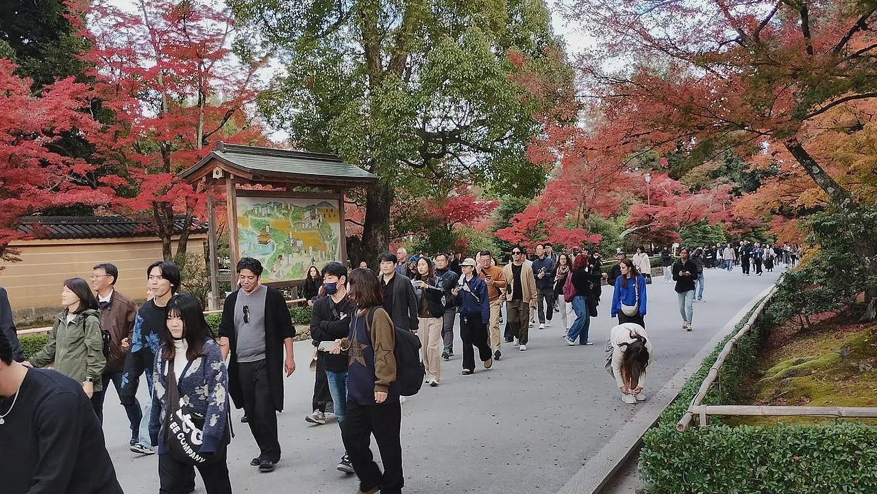 ​中国人消失后日本景点情况：有人嫌还是挤、有人觉变安静感谢高市早苗（组图） - 2
