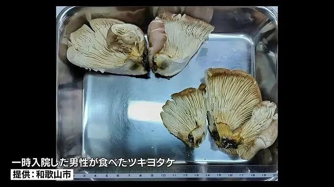 七旬大爷进山采菇,拍照后AI说无毒,可吃!半小时后惨了....(组图) - 3