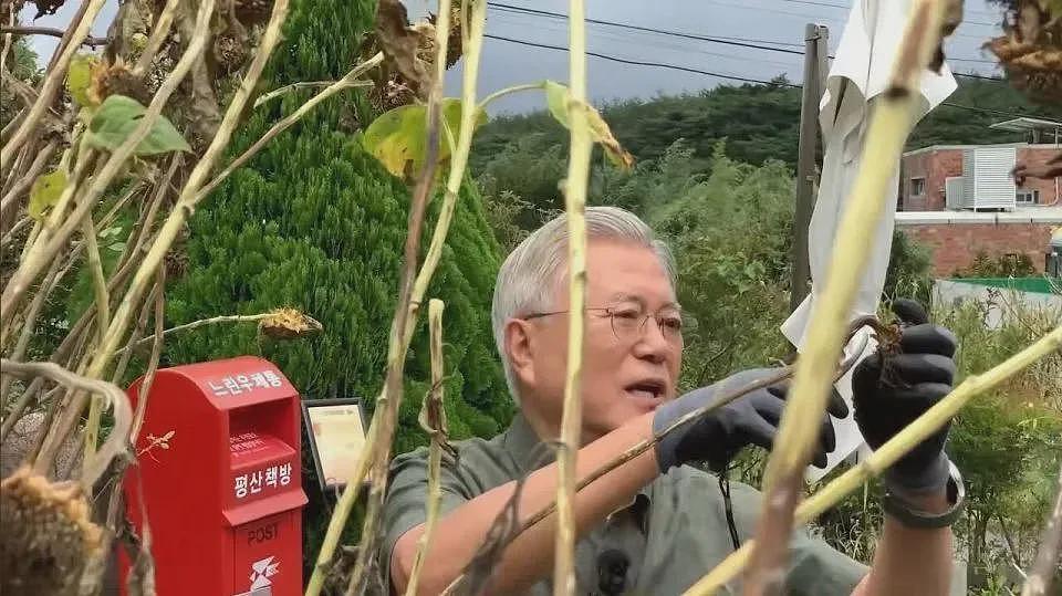 72岁韩国前总统文在寅“再就业“，新身份让人意外（组图） - 3