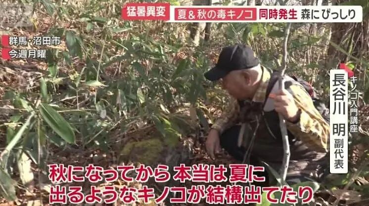 七旬大爷进山采菇,拍照后AI说无毒,可吃!半小时后惨了....(组图) - 1