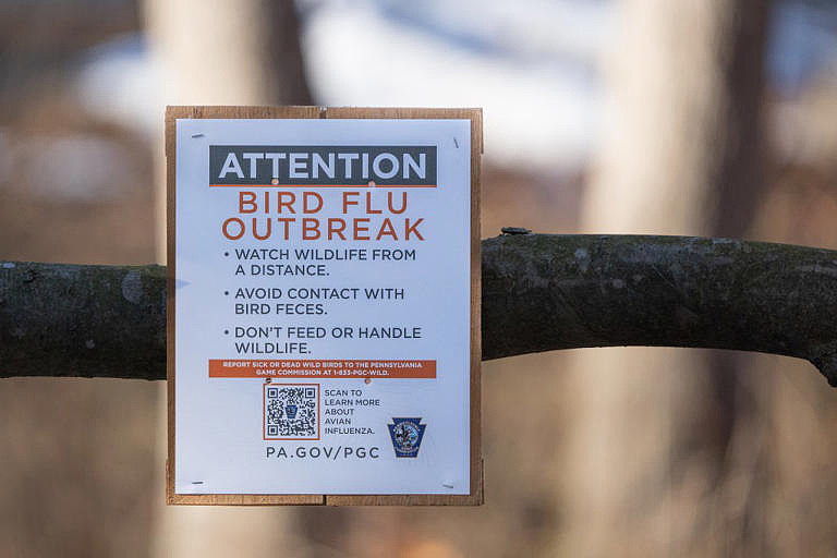 全球首例人感染H5N5禽流感病例在美死亡(图) - 1