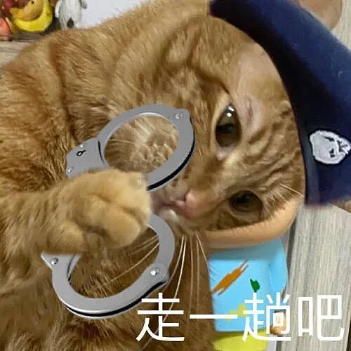 东南亚第一深情“江湖大嫂”竟来自中国？ 在柬埔寨为爱劫狱，被捕后因高颜值火出圈...（组图） - 2